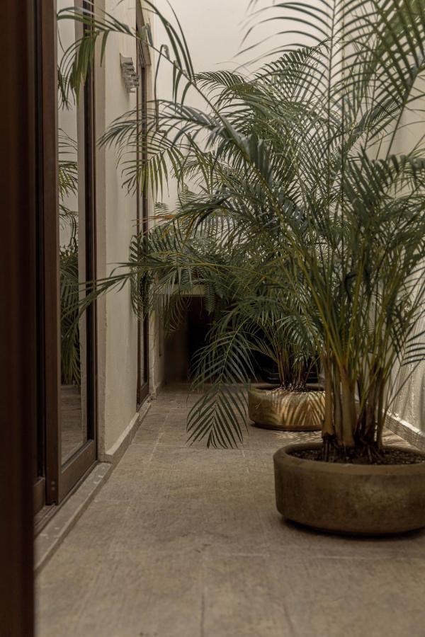 Narrativ Lofts - Serena - Beautiful Colonial Suite 坎佩切 外观 照片
